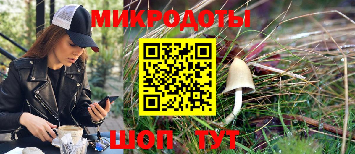 хочу наркоту  Вход с VPN  Новотроицк  Галлюциногенные грибы мицелий 